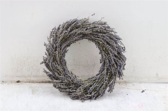 <h4>Wr Dried Lavendel 30cm</h4>