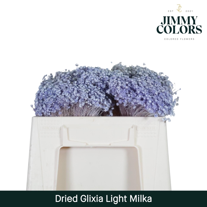<h4>Dried Glixia Light Milka</h4>