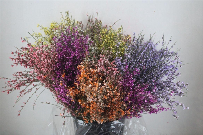 <h4>Ginster 200gr Mix Pbs</h4>