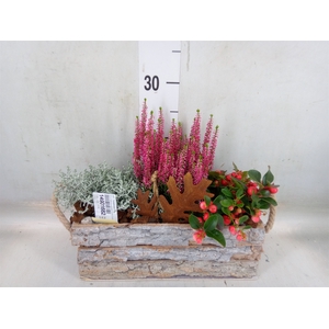 Arr.   Tuinplanten L%
