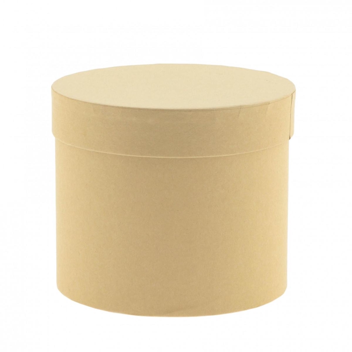 <h4>Boekethouder Hatbox karton d15*13cm</h4>