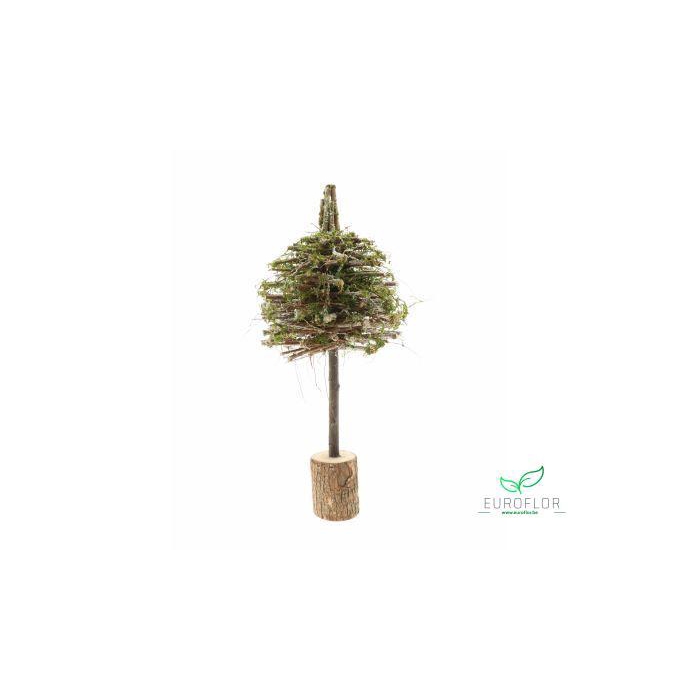 <h4>TREE STRAVA H70 D30 GREEN</h4>