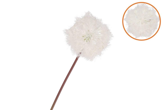 <h4>Silk Dandelion White 65cm Nm</h4>