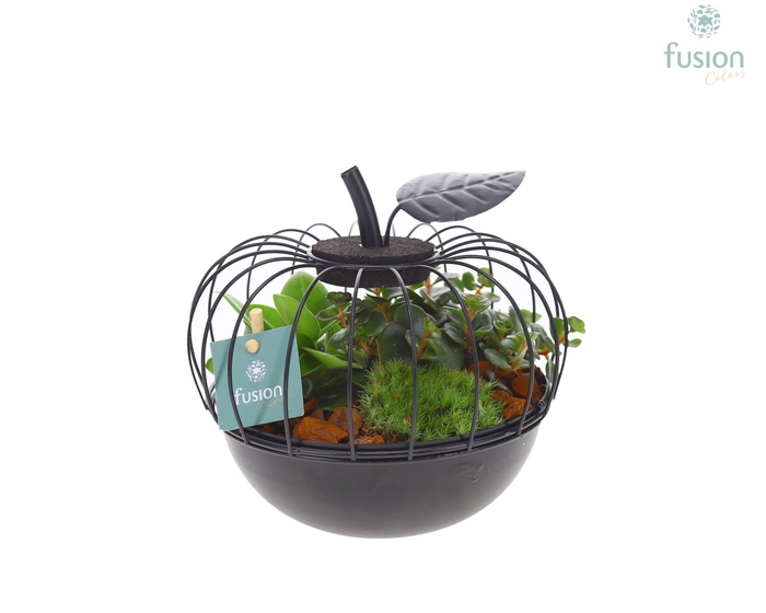 <h4>Metaal appel zwart Small met groene planten</h4>