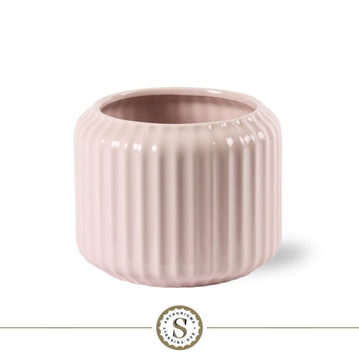 <h4>Creations) Bologna Keramiek Pink</h4>