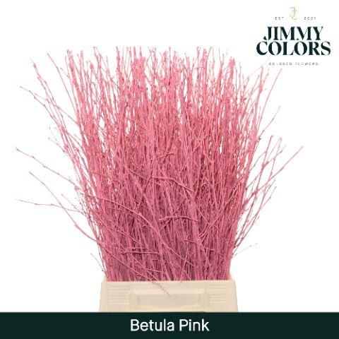 <h4>Betula L60 Pink</h4>