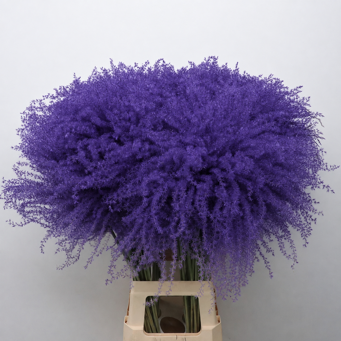 <h4>Dried Stipa Feather Milka</h4>