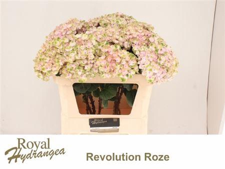 <h4>Hydr M Mag Revolution Rz</h4>