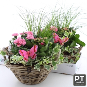 ARR TUINPLANTEN