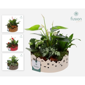 Zinken schaal Huisjes Medium met arrangement