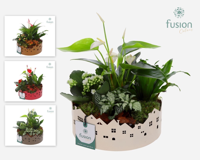 <h4>Zinken schaal Huisjes Medium met arrangement</h4>