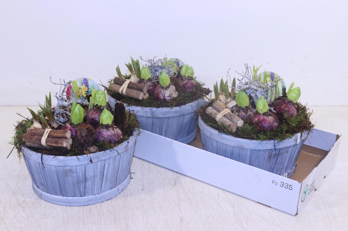 <h4>ARR BOL KNOLGEWAS</h4>