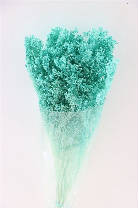 Dried Brooms Aqua Blue Bunch