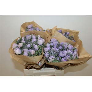 Anem Marianne Powder Lavender