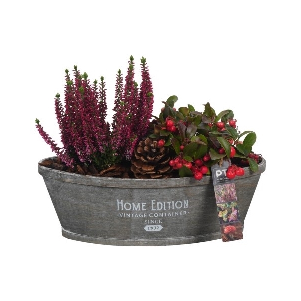<h4>PTHO4192 Arrangement Herfst Outdoor in houten boot</h4>