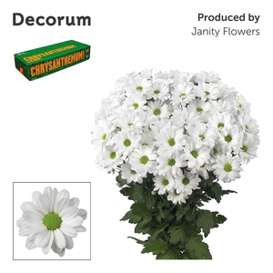 Chr T Kennedy Decorum