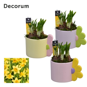 Narcis Bloomie Mug GM HL15417