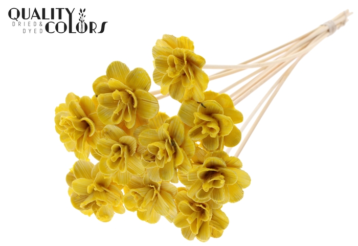 Beetal Rose 6cm on stem Wax Yellow