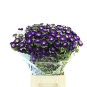 CALLIS MATS D BLAUW
