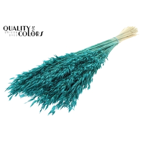 Avena per bunch Intense Turquoise