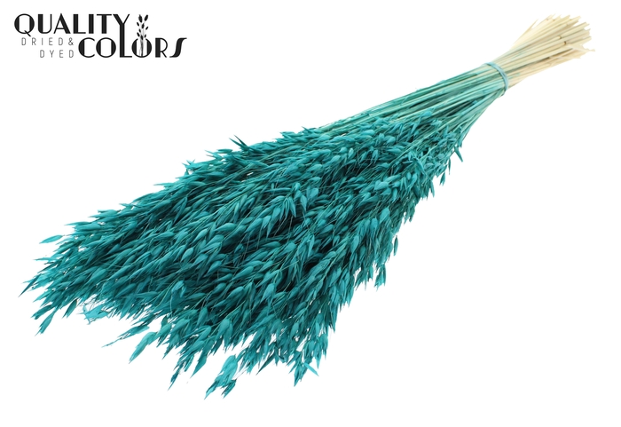 <h4>Avena per bunch Intense Turquoise</h4>