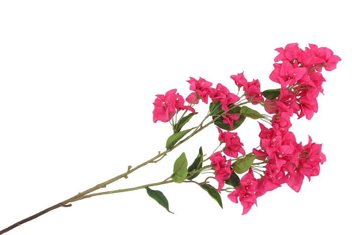 <h4>Silk Bougainville Tak Pink 106cm</h4>