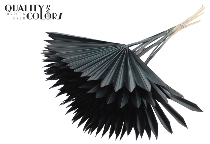 Sun Spear per stem Black