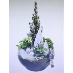 4408 HENDRIK BOWL + BOOMPJE