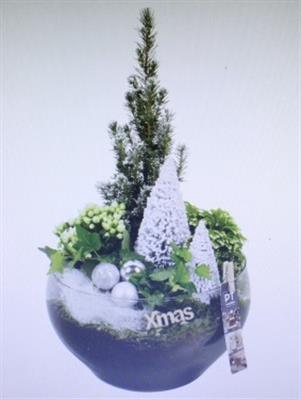 4408 HENDRIK BOWL + BOOMPJE