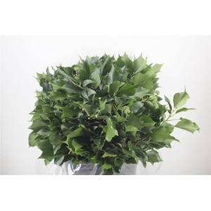 Hedera Leaves 400gr P Bunch