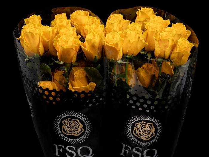 <h4>R GR Impact</h4>