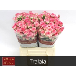 R TR TRALALA