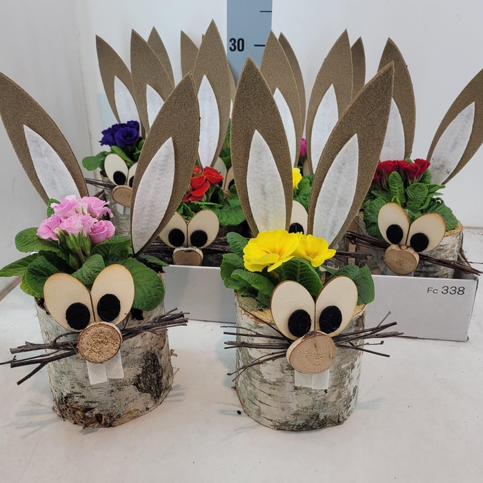 <h4>ARR TUINPLANTEN</h4>