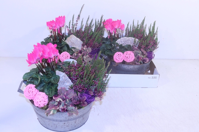 <h4>ARR TUINPLANTEN</h4>