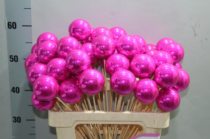 <h4>KERSTBAL OP STOK H%</h4>