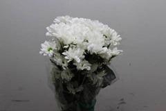 <h4>CHR T KENNEDY</h4>