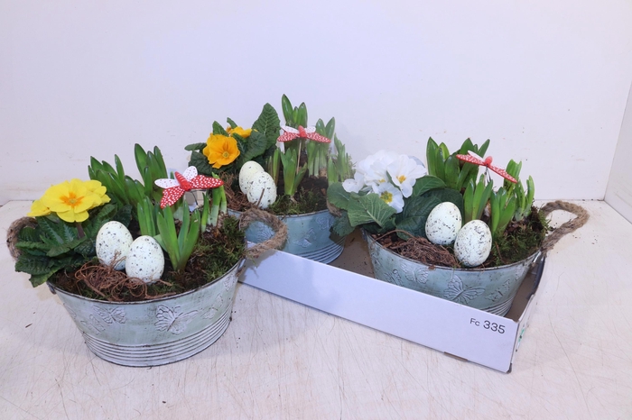 <h4>ARR TUINPLANTEN</h4>