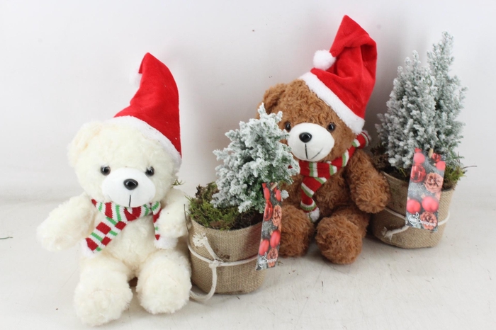 <h4>arr2 MB - Bruin & wite beer x6</h4>