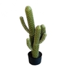 Kunstplanten Pot Cactus d18*71cm