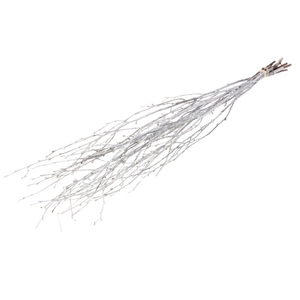 Birch 60cm 10pc White Misty
