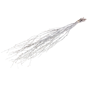 Birch 60cm 10pc White Misty
