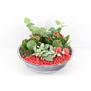 arr2 PL - Zink antiek schaal - rood
