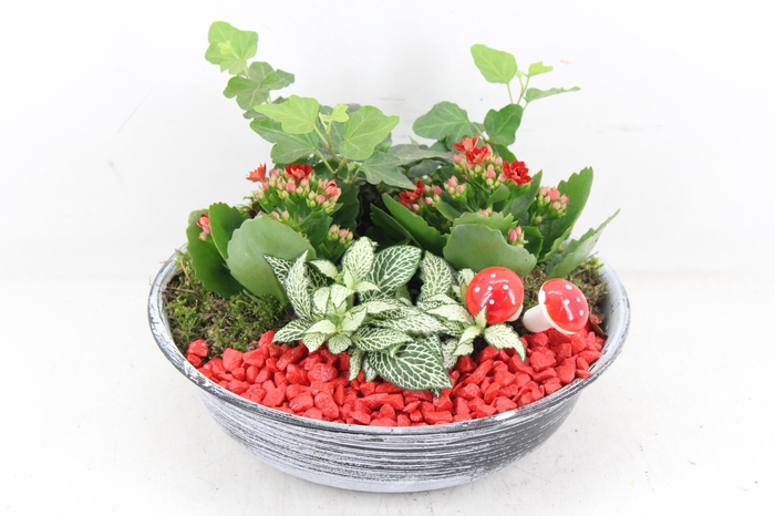 <h4>arr2 PL - Zink antiek schaal - rood</h4>