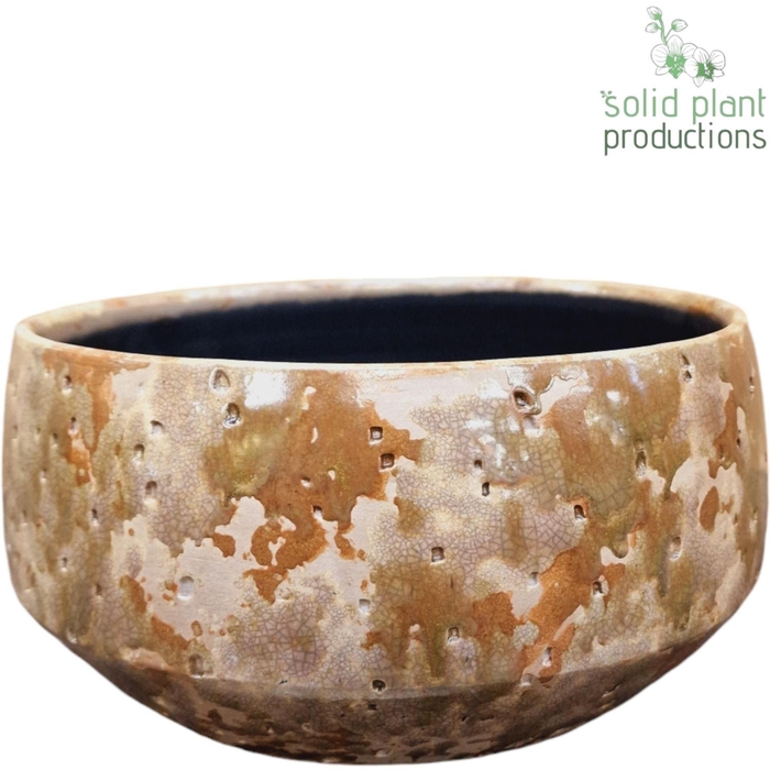 <h4>X C100 SOPHIA TAUPE LARGE</h4>