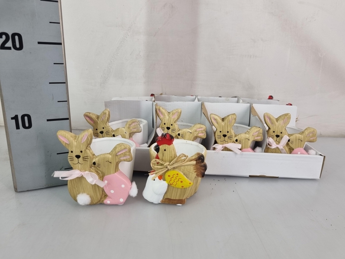 <h4>HUIS EN TUINDECO H%</h4>