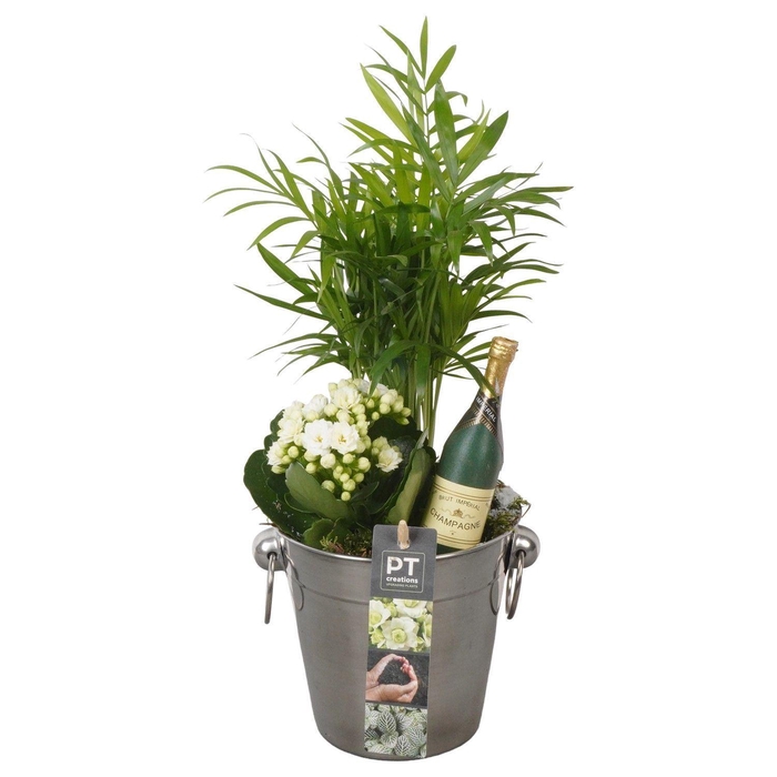 <h4>Arr.    Planten  L%</h4>