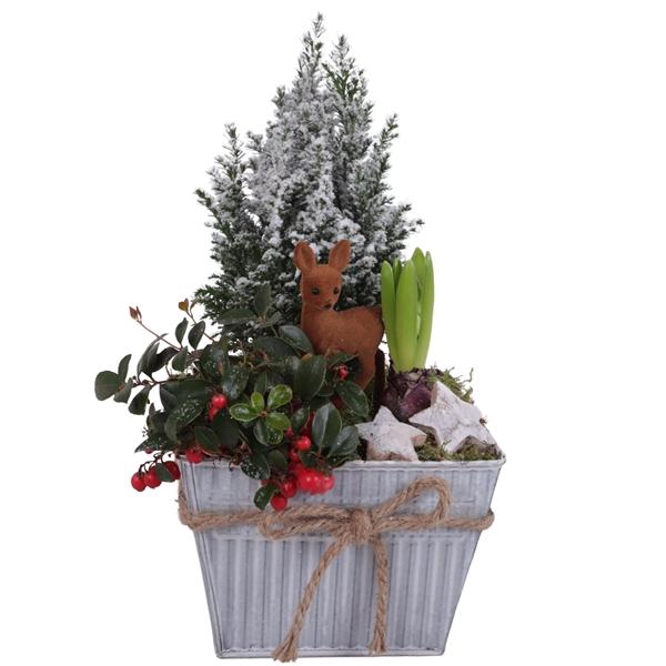 <h4>Winter Arr. Outdoor Zinc Pot Square White Rope Ø19cm 3PP</h4>