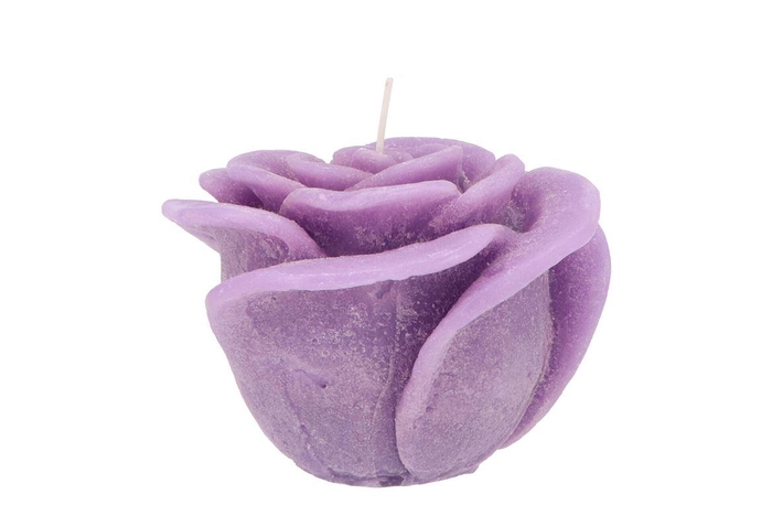 Candle Roos Lila 11x9cm