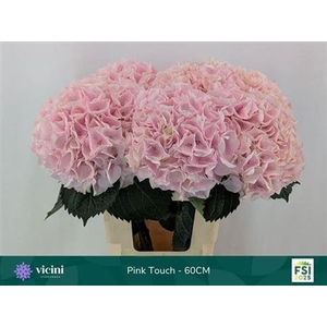 Hydr M My Pink Touch Rz