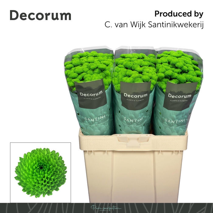 <h4>Chr S Country</h4>